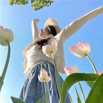 笨蛋·测验·召唤兽
